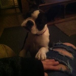 Meet your Posher, Marion